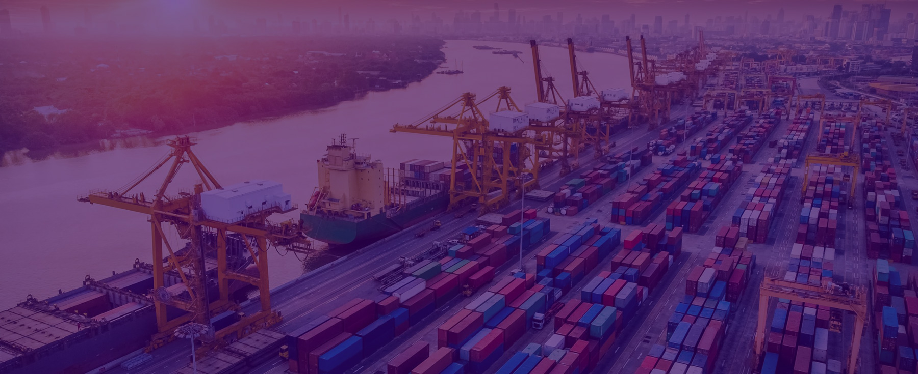 POrt and Terminal Development
